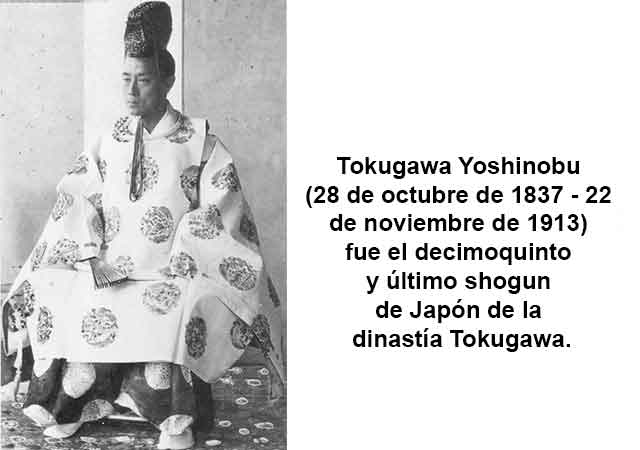 Tokugawa-Yoshinobu-sp.jpg